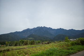 farming and gardening view 