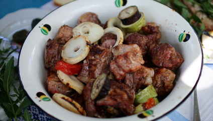 Cooking meat and vegetables in plate. Picnic on the air.