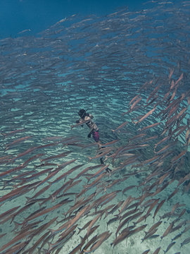 Male free diver caught in the middle of a massive school of pelican barracudas (Sphyraena idiastes) in Siquijor Island, Philippines.