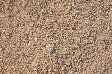 Textura arena gruesa Full HD