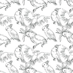 Vector Sky bird cockatoo in a wildlife isolated. Black and white engraved ink art. Seamless background pattern. © LIGHTFIELD STUDIOS