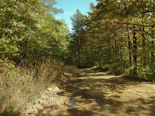 country dirt rocky road with small puddles on a sunny day in early autumn in the mountain forest of the Western Caucasus