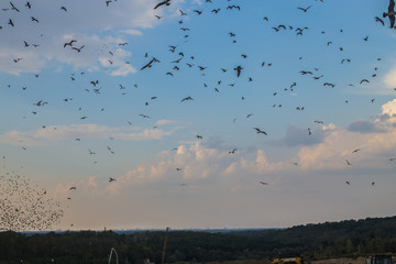 Kiev / Ukraine 15.September 2019 On photo Garbage landfill number 5