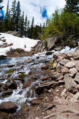 river in forest