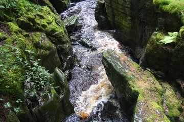 waterfall in the forest