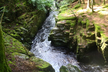 waterfall in the forest