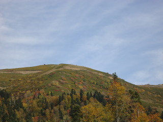 Naklejka premium Сочи