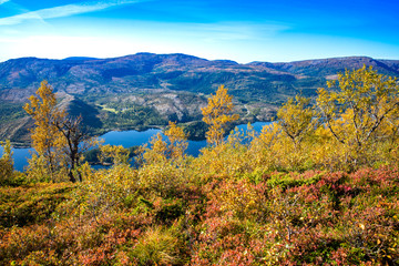 Naklejka premium Happy hiking in great autumn weather in northern Norway