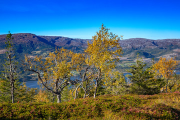 Happy hiking in great autumn weather in northern Norway