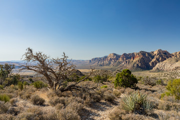 Beautiful landscape around Red Rock Canyon