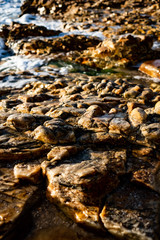 rocks in the beach
