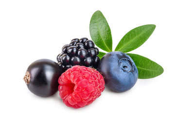 mix of blackberry blueberry raspberry black currant with leaf isolated on white background.