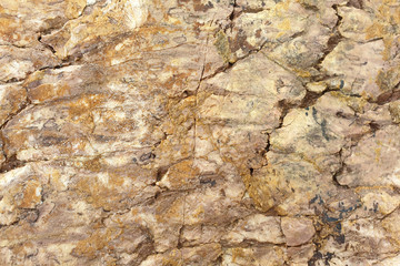 Stone. Texture of colorful Mediterranean stone on the shore