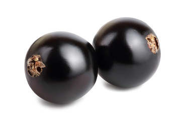 two black currant isolated on white background