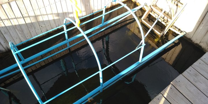 Donbass. Makeevka. Holy merchant. Healing source of the Mother of God.