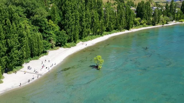 View of famous lonely tree on the shore of lake Wanaka, New Zealand