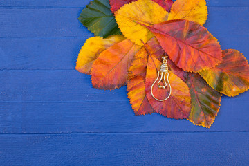 Autumn Creativity Concept. Golden Light Bulb Shape And Bright Fall Leaves Are On Ultramarine Blue...