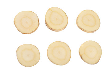 Parsnip root slices isolated on white background closeup. Top view. Flat lay. Set or collection