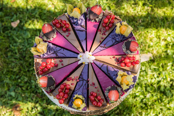 close up of a vegan raw colorful cake with fruit 