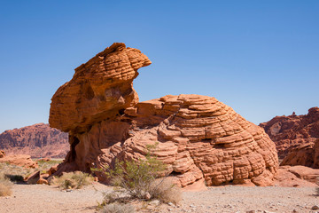 Fototapeta na wymiar Rabbit shape beehive in the Valley of Fire State Park