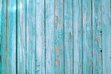 Fototapeta na wymiar Old wooden fence painted in blue.