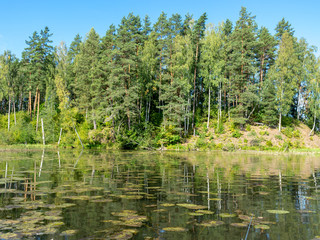 picture overlooking the lake on a sunny summer day, the sky and the reflections of trees on the water