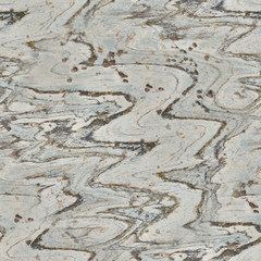 Seamless texture stone with a sinuous pattern. White rock background with dark lines