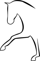 Dressage Horse