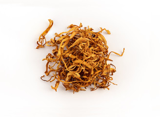 group of dried cordyceps militaris on white background