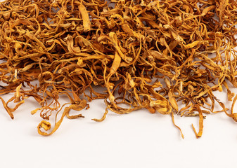 group of dried cordyceps militaris on white background