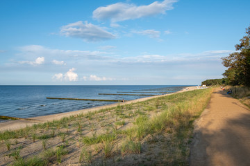 Fototapeta na wymiar The view of the dunes and the beach of Zempin on the island of Usedom on a sunny day