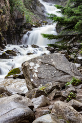 waterfall in the forest