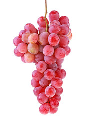 Bunch of fresh red grapes isolated on a white background