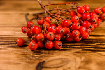 Berries of the rowan tree on wooden table