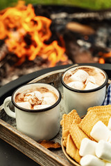 two cup of cocoa or hot chocolate and skewers of roasted marshmallows over campfire. autumn holidays outdoors treats - 292025626