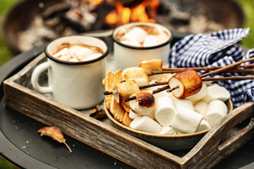 two cup of cocoa or hot chocolate and skewers of roasted marshmallows over campfire. autumn...