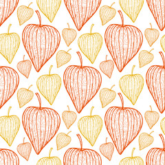 Physalis seamless background. Vector pattern design in orange and yellow colors.