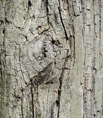 Holz abstrakt Hintergrund Werbefläche