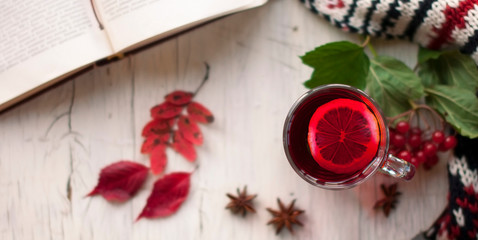Cozy autumn  photo with a hot mug of red tea with lemon, a book and a warm scarf