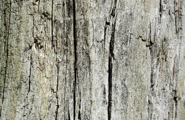 Holz abstrakt Hintergrund Werbefläche