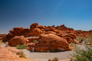 Beehive in the Valley of Fire State Park