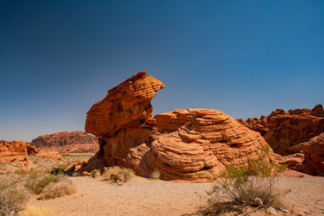 Rabbit shape beehive in the Valley of Fire State Park