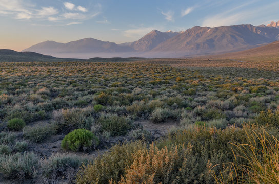 scenic view of eastern Sierra Nevada mountains and Long Valley Caldera at sunrise from Whitmore Tubs road (Mono County, California)