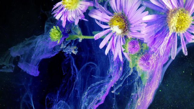 Michaelmas Daisy or New York Aster. Purple flower. Acrylic colors and ink in water.