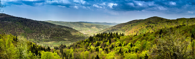 panorama of the Carpathian mountains