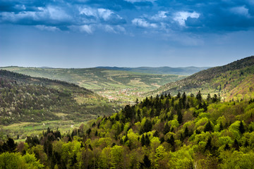 Naklejka premium panorama of the Carpathian mountains