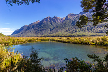 Naklejka premium view of Lake Gunn in Fiordland National park
