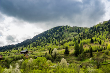 Fototapeta na wymiar panorama of the Carpathian mountains