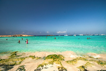 beach and tropical sea