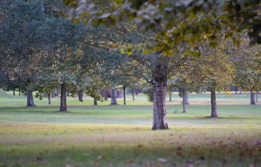 parco